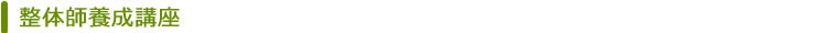 ソフト整体師養成講座 ソフト整体師養成講座
